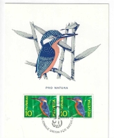 N° 439, MARTIN PECHEUR 